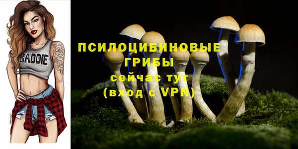 MDMA Premium VHQ Володарск